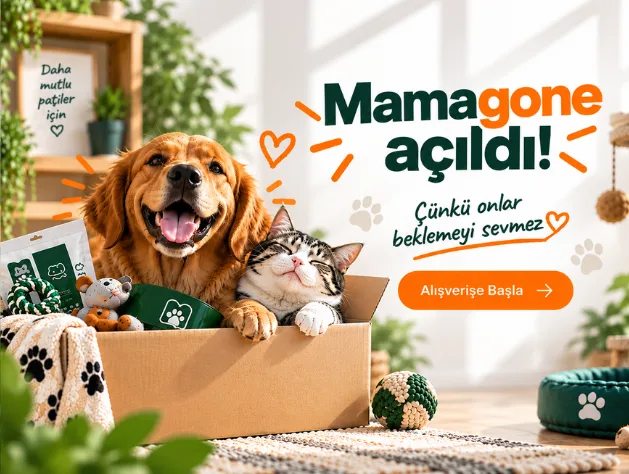 Mamagone Açıldı